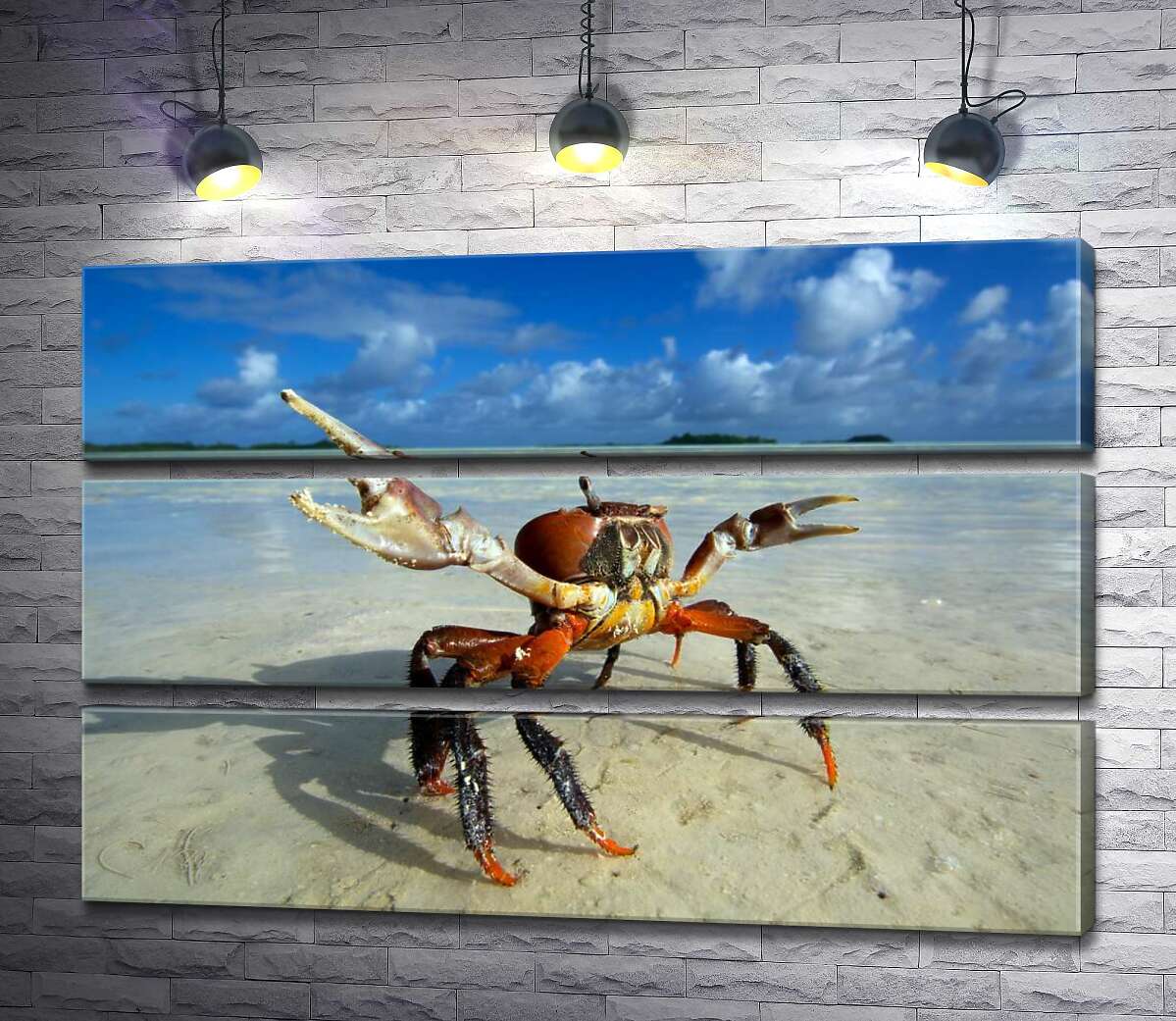 

Модульная картина ArtPoster Краб готовит клешни к нападению 92x60 см Модуль №13