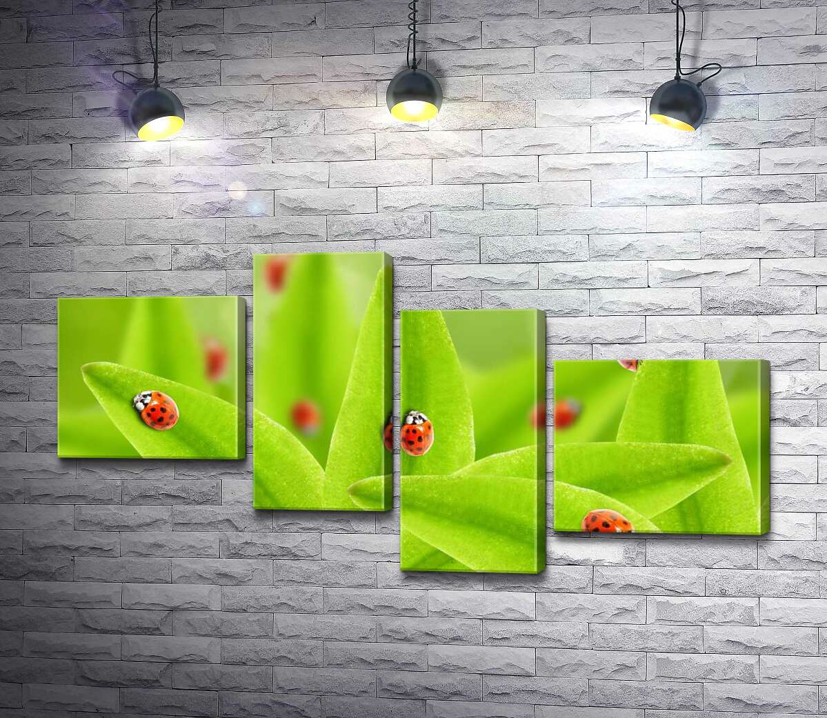 

Модульная картина ArtPoster Краснобокие божьи коровки ползают по сочной листве 100x53 см Модуль №20