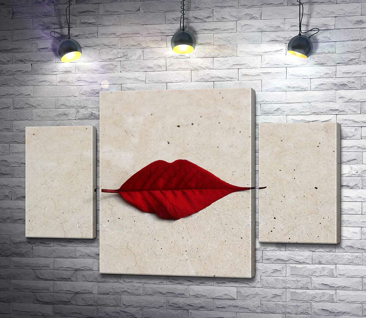 

Модульная картина ArtPoster Красный листик в форме губок лежит на мраморном полу 80x54 см Модуль №7