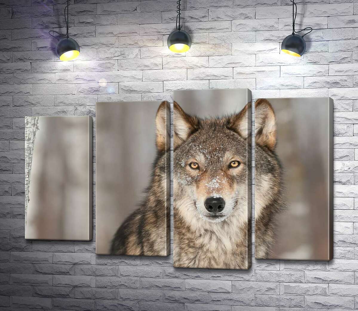 

Модульная картина ArtPoster Настороженный взгляд хищного волка 132x88 см Модуль №21
