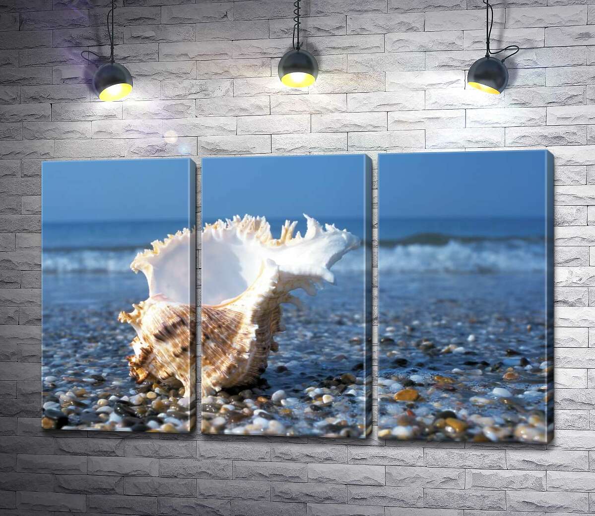 

Модульная картина ArtPoster Морская ракушка с вьющимися краями на каменистом пляже 102x62 см Модуль №11