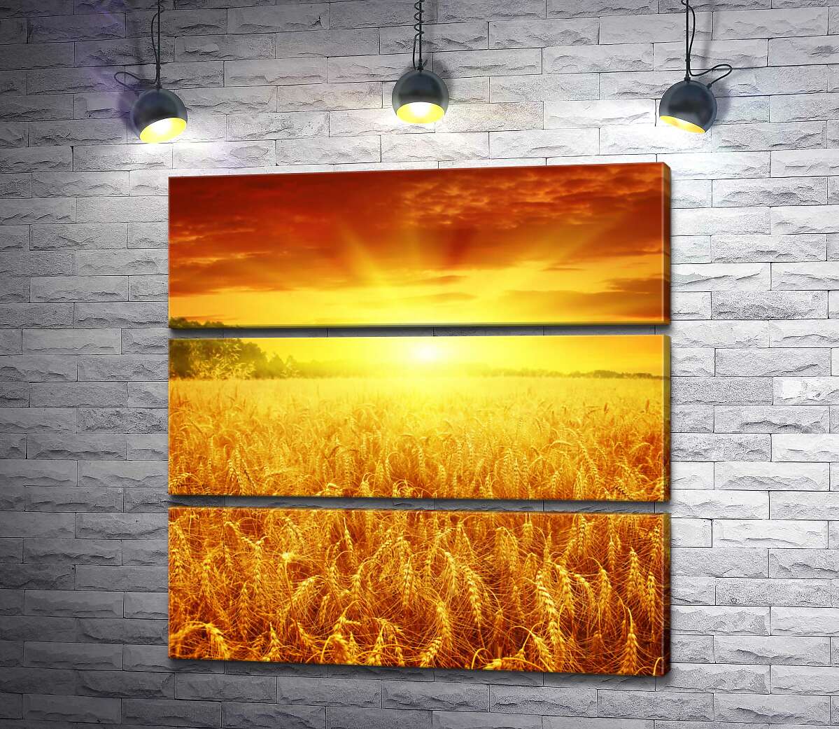 

Модульная картина ArtPoster Налитая пшеница колосится золотом в лучах солнца 60x60 см Модуль №13