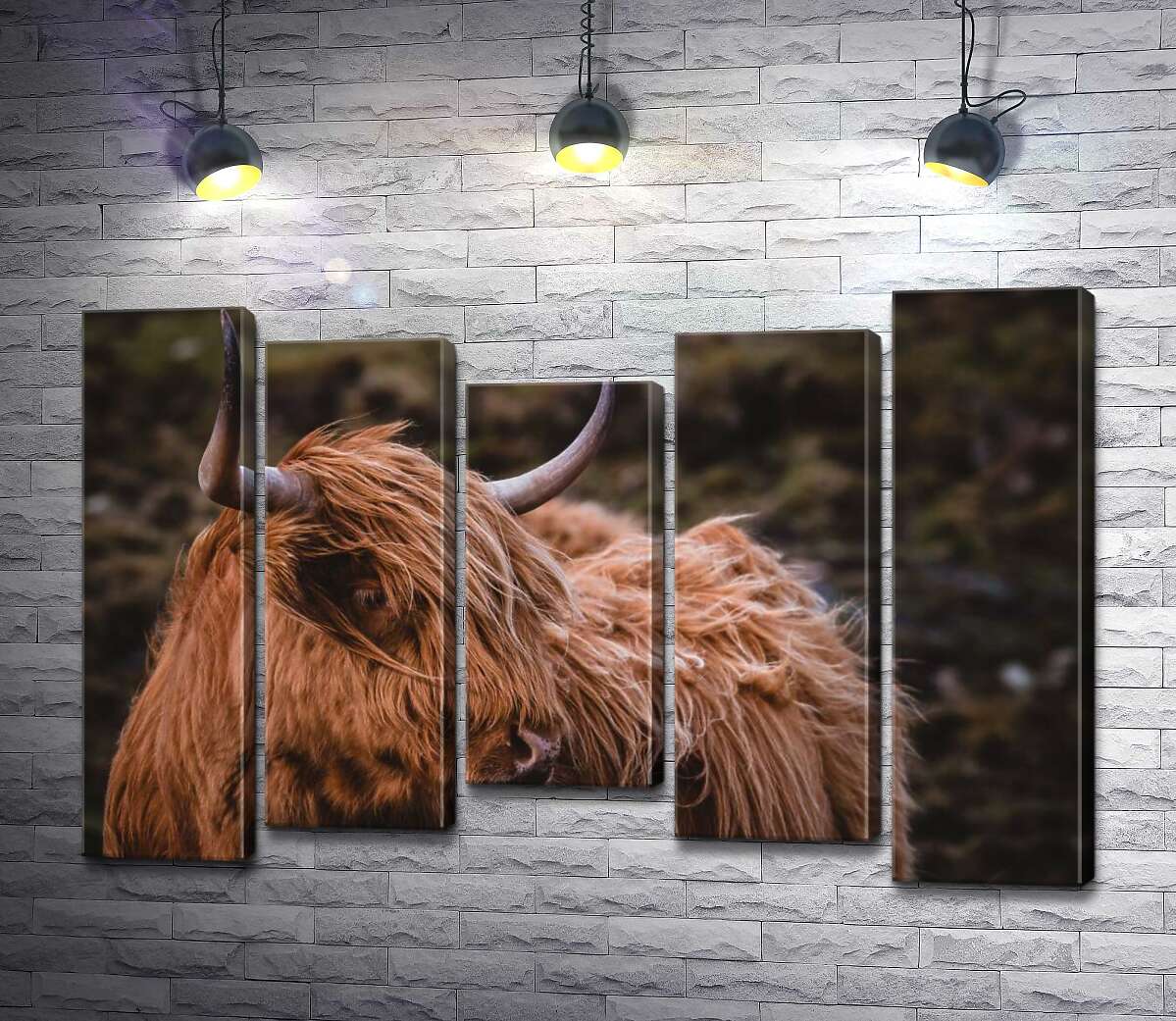 

Модульная картина ArtPoster Мягкая шерсть шотландской коровы развевается на ветру 100x69 см Модуль №28