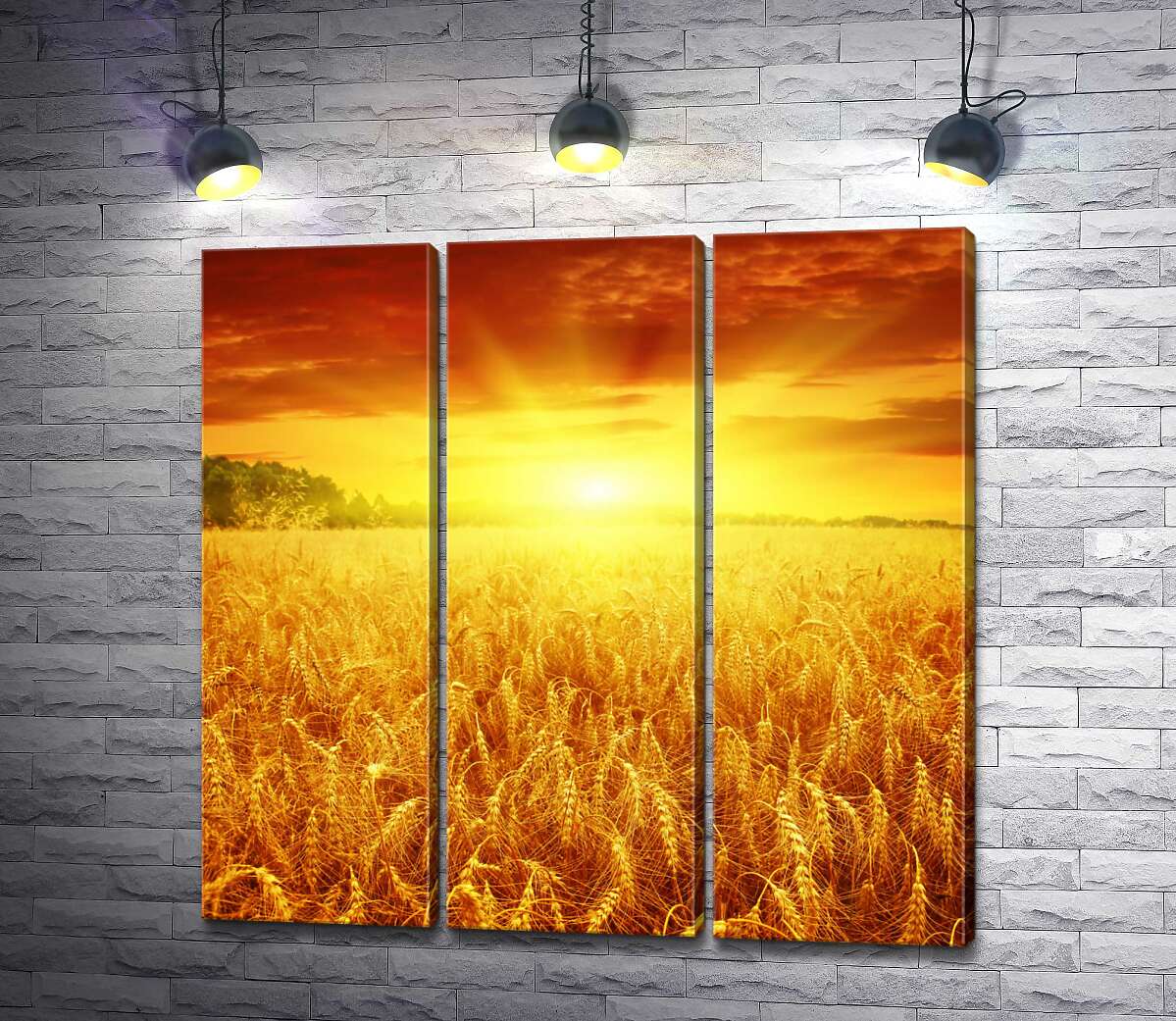 

Модульная картина ArtPoster Налитая пшеница колосится золотом в лучах солнца 60x60 см Модуль №11
