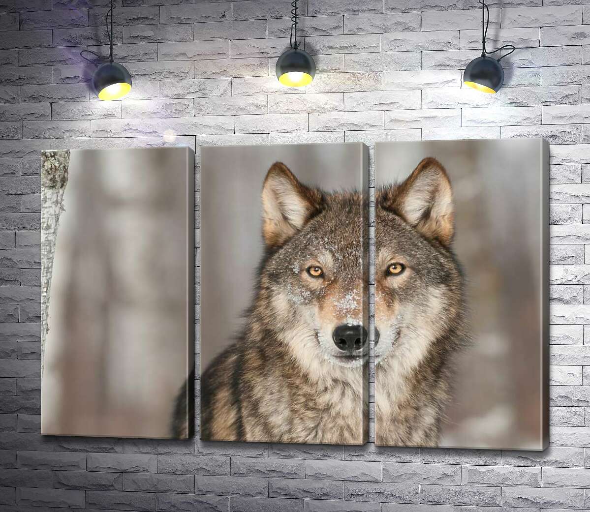 

Модульная картина ArtPoster Настороженный взгляд хищного волка 60x40 см Модуль №11