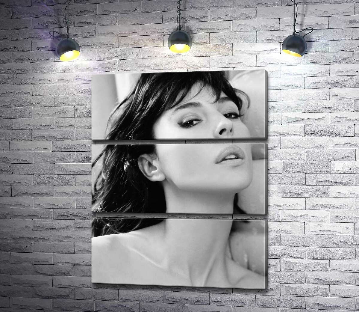 

Модульная картина ArtPoster Откровенный взгляд Моники Беллуччи (Monica Bellucci) 130x159 см Модуль №13