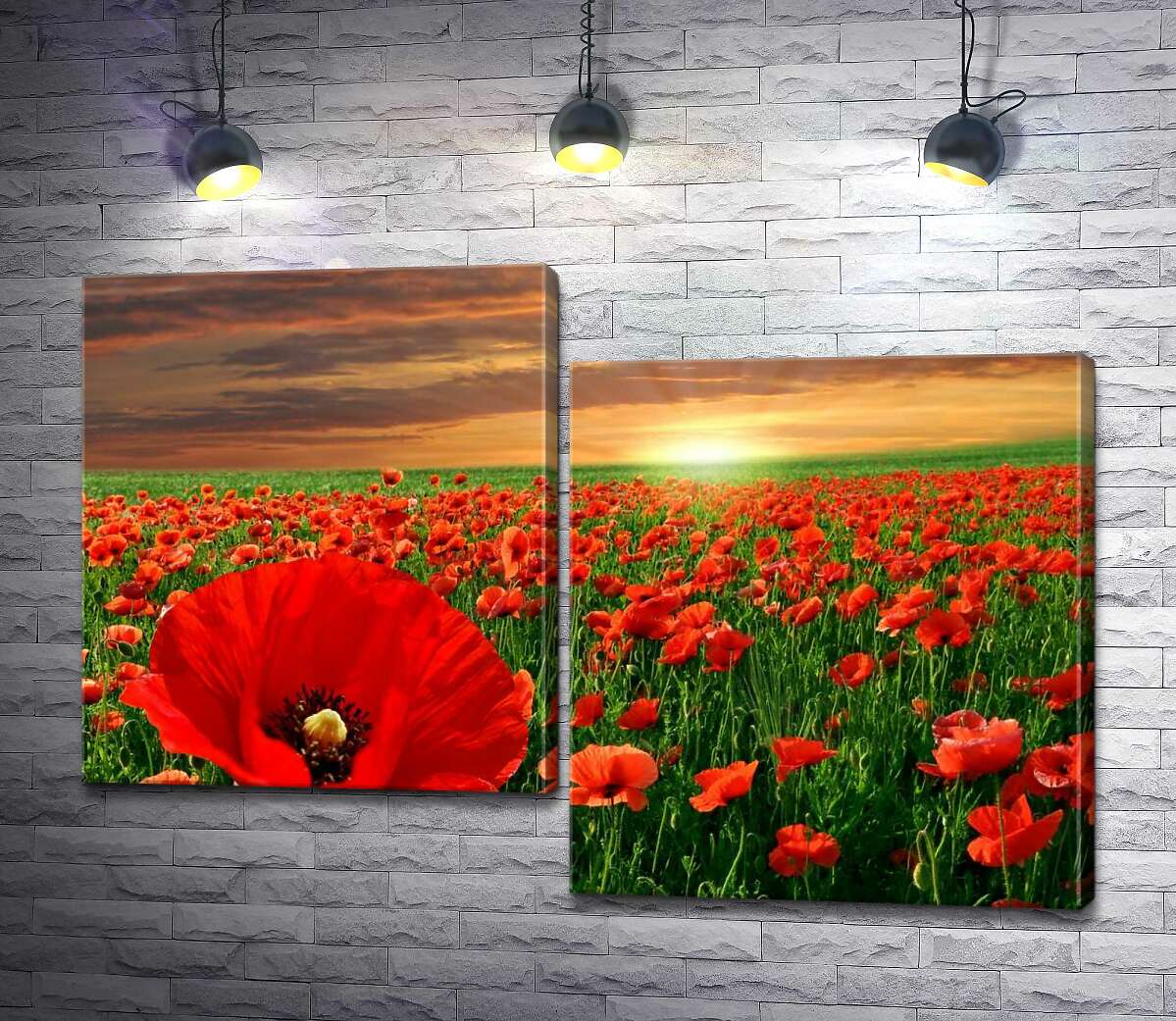 

Модульная картина ArtPoster Пламенные маки светятся в солнечных лучах 100x70 см Модуль №5