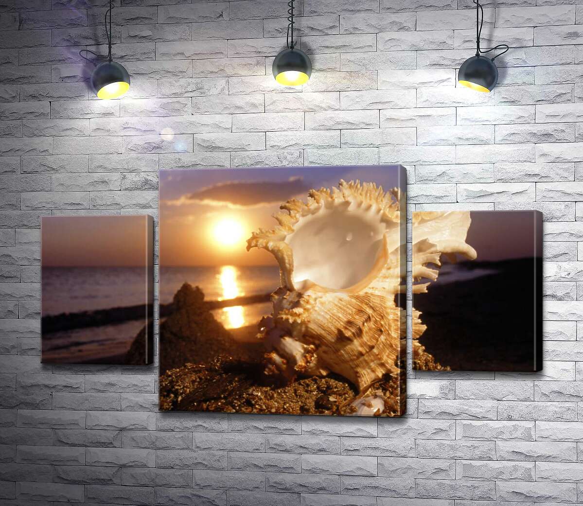 

Модульная картина ArtPoster Причудливые формы морской ракушки на фоне вечернего пляжа 131x74 см Модуль №7