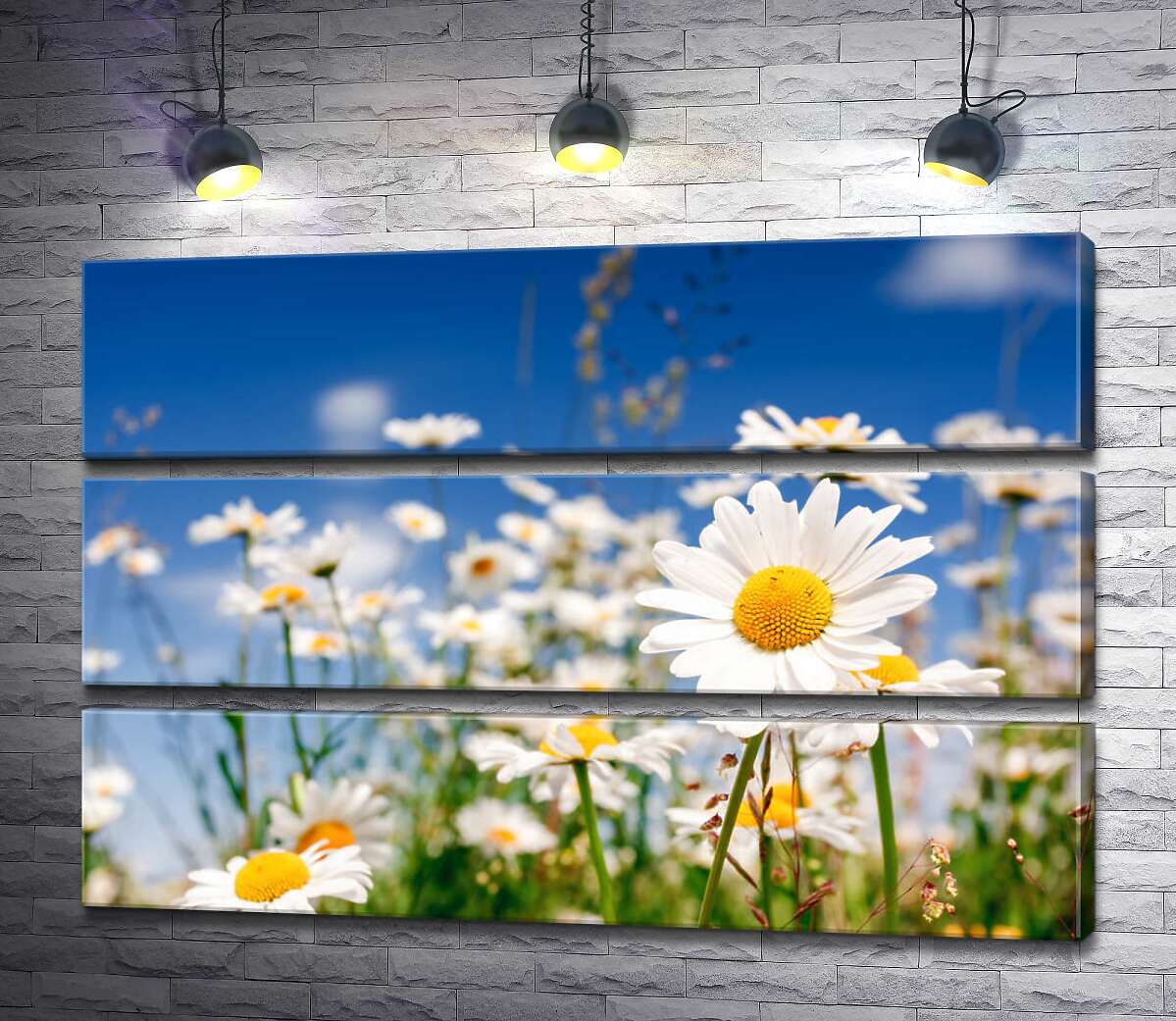 

Модульная картина ArtPoster Поле белоснежных ромашек 90x60 см Модуль №13