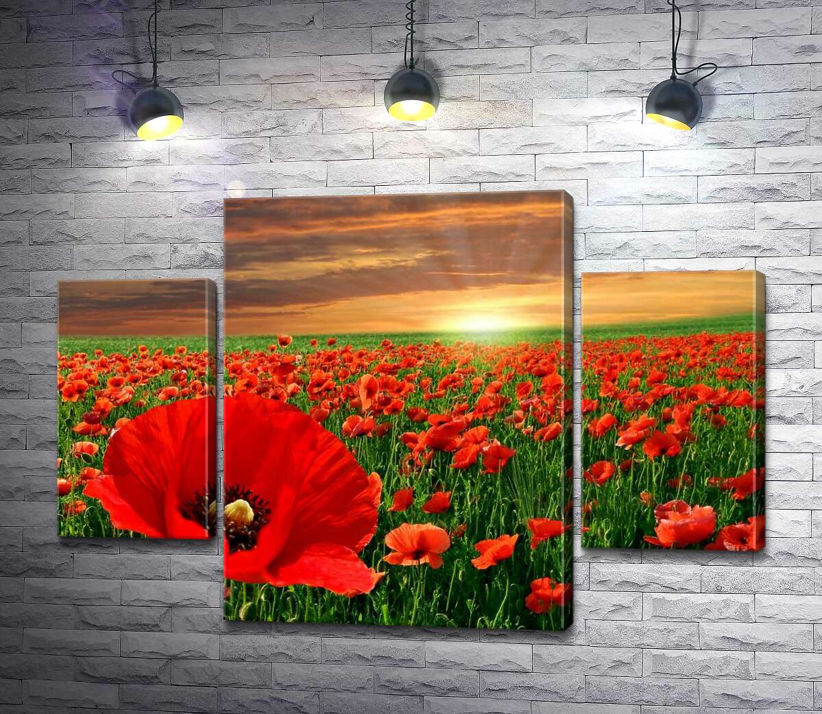 

Модульная картина ArtPoster Пламенные маки светятся в солнечных лучах 100x70 см Модуль №7