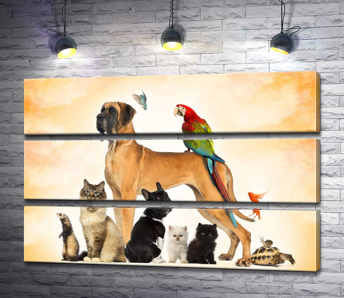 

Модульная картина ArtPoster Разнообразие пернатых и хвостатых домашних питомцев 100x66 см Модуль №13