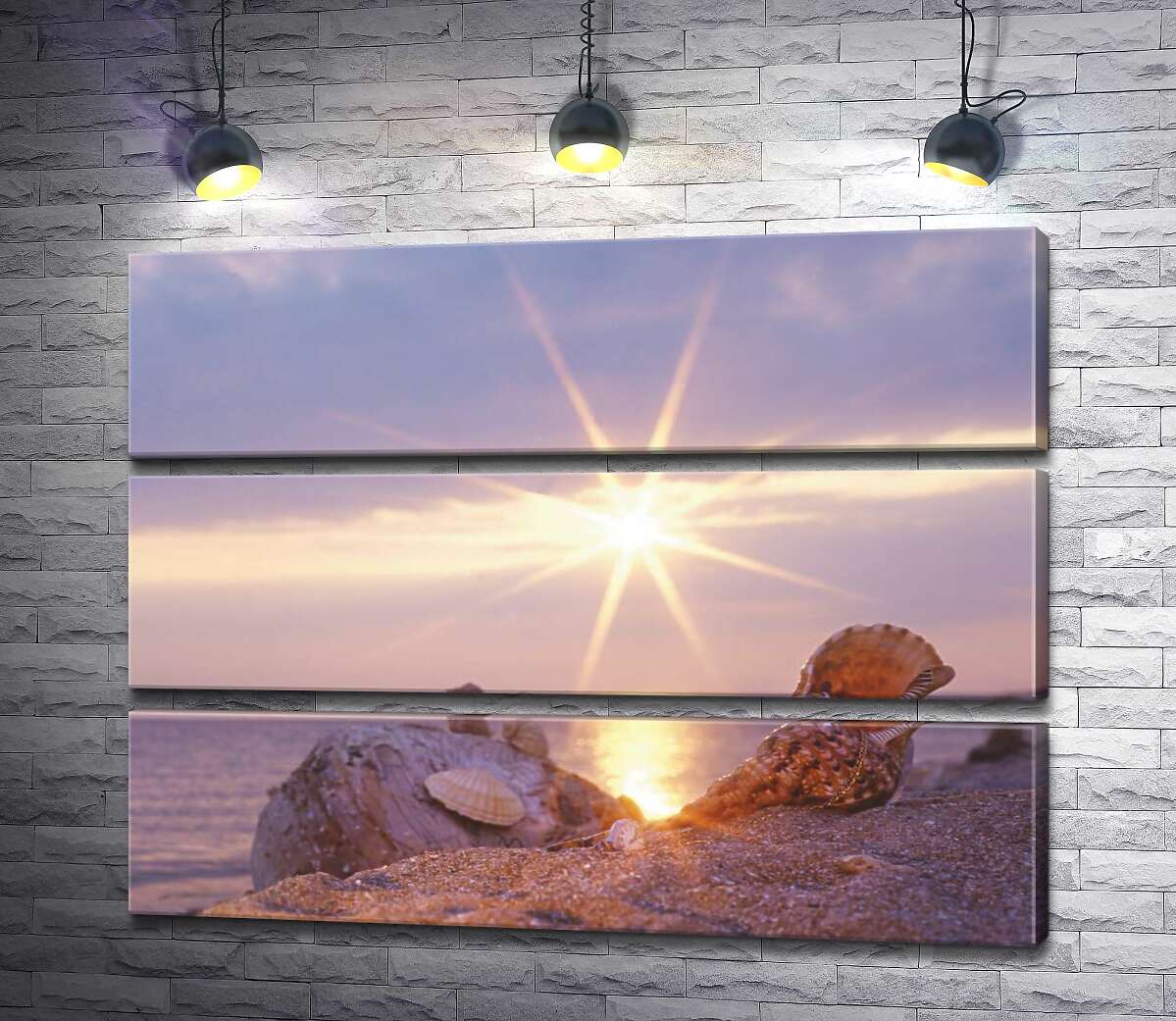 

Модульная картина ArtPoster Ракушки, рассыпанные по песчаному берегу, в лучах солнца 80x60 см Модуль №13