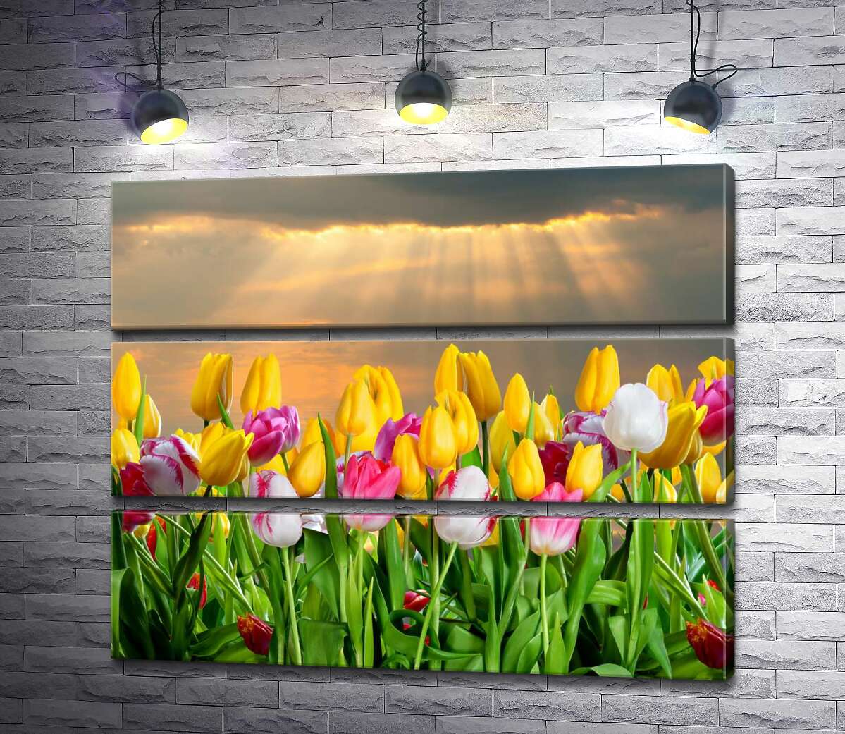 

Модульная картина ArtPoster Розовые лучики пробираются к тюльпановой грядке после весенней грозы 100x81 см Модуль №13