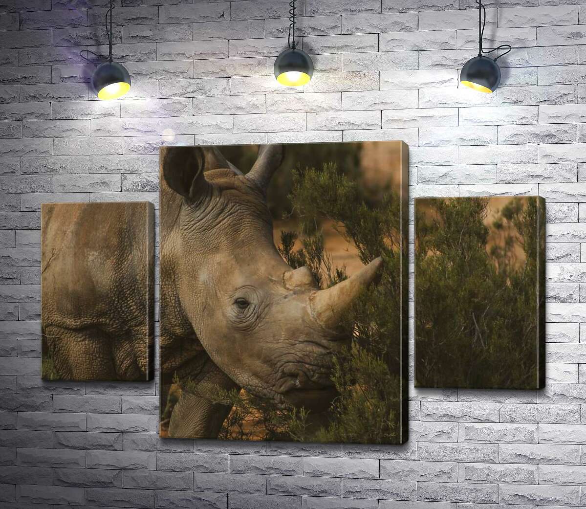 

Модульная картина ArtPoster Редкий белый носорог ест траву 100x69 см Модуль №7