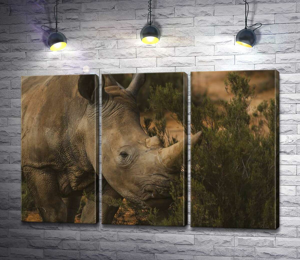 

Модульная картина ArtPoster Редкий белый носорог ест траву 60x40 см Модуль №11