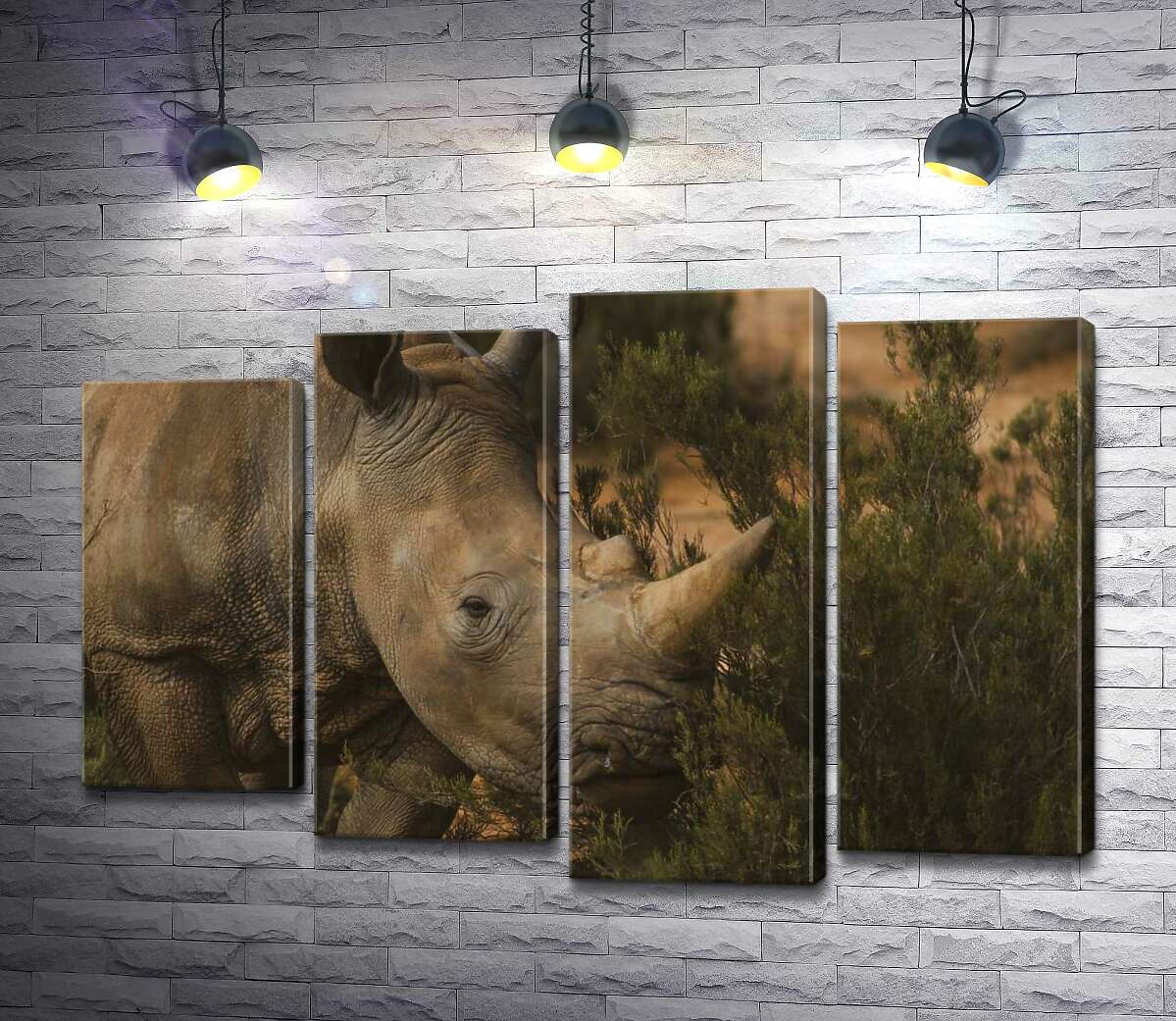 

Модульная картина ArtPoster Редкий белый носорог ест траву 132x89 см Модуль №21
