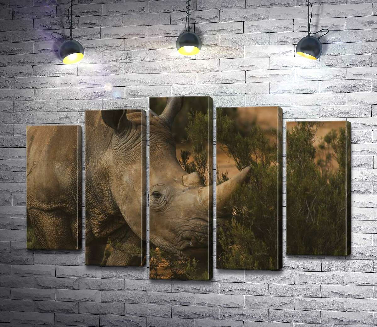 

Модульная картина ArtPoster Редкий белый носорог ест траву 100x69 см Модуль №26