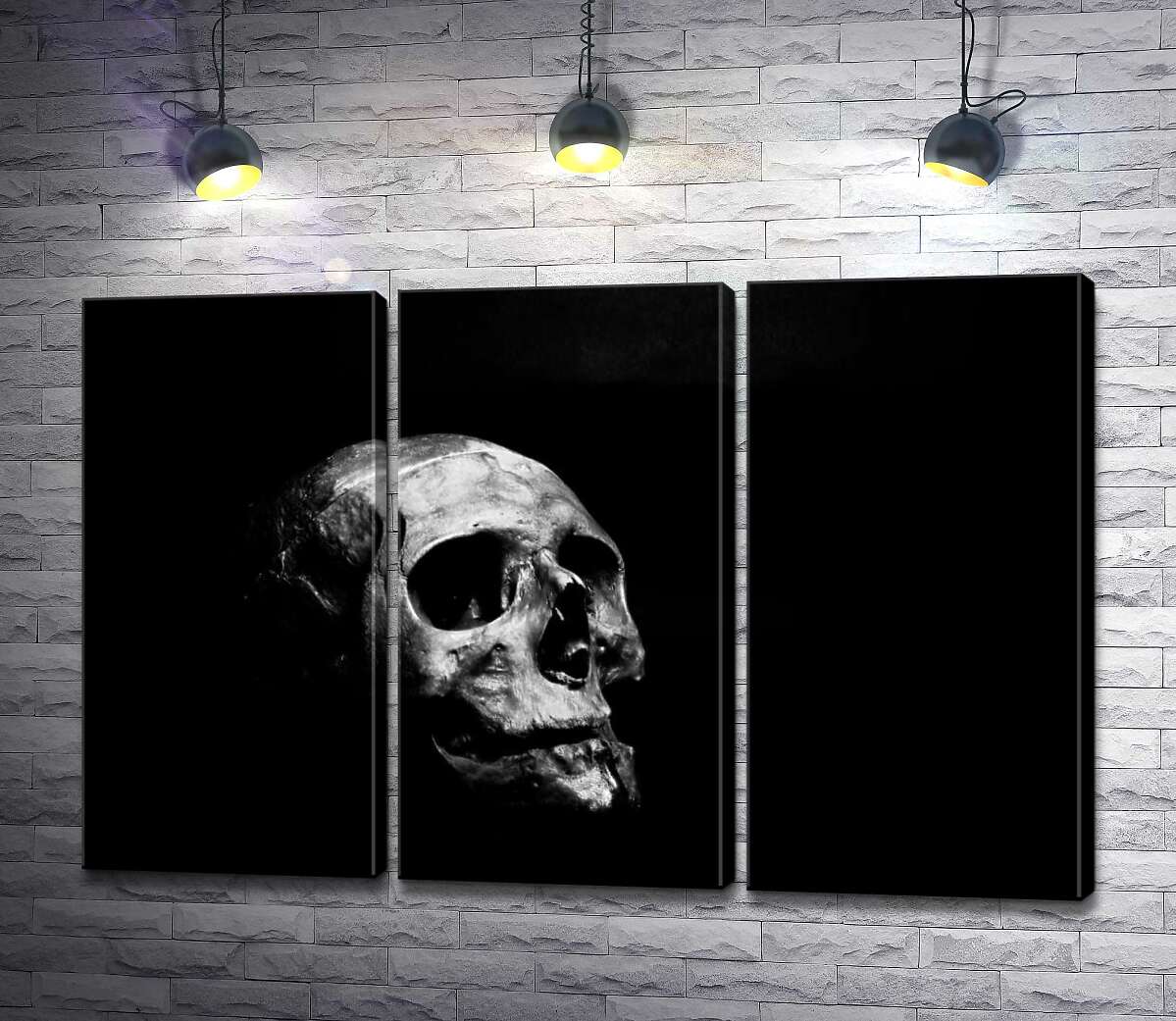 

Модульная картина ArtPoster Светлые формы черепа тонут в густой тьме 60x40 см Модуль №11