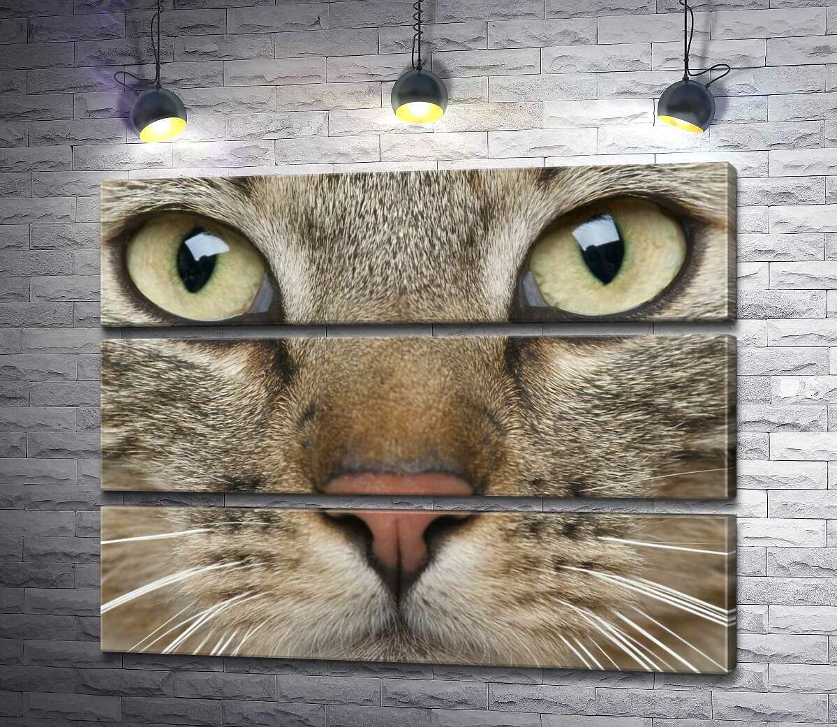 

Модульная картина ArtPoster Сосредоточенный взгляд зеленых глаз кота 100x78 см Модуль №13