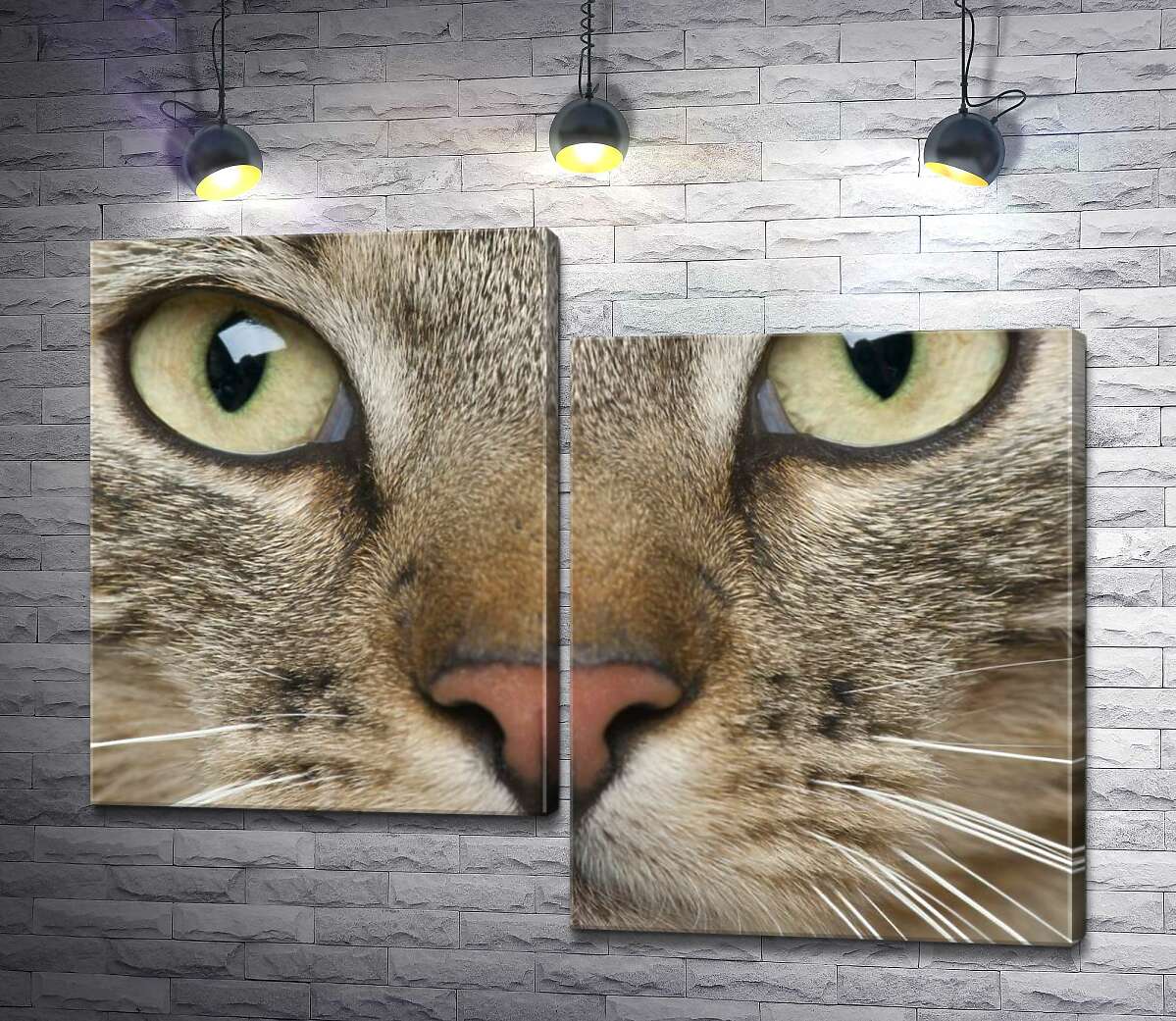 

Модульная картина ArtPoster Сосредоточенный взгляд зеленых глаз кота 100x79 см Модуль №5