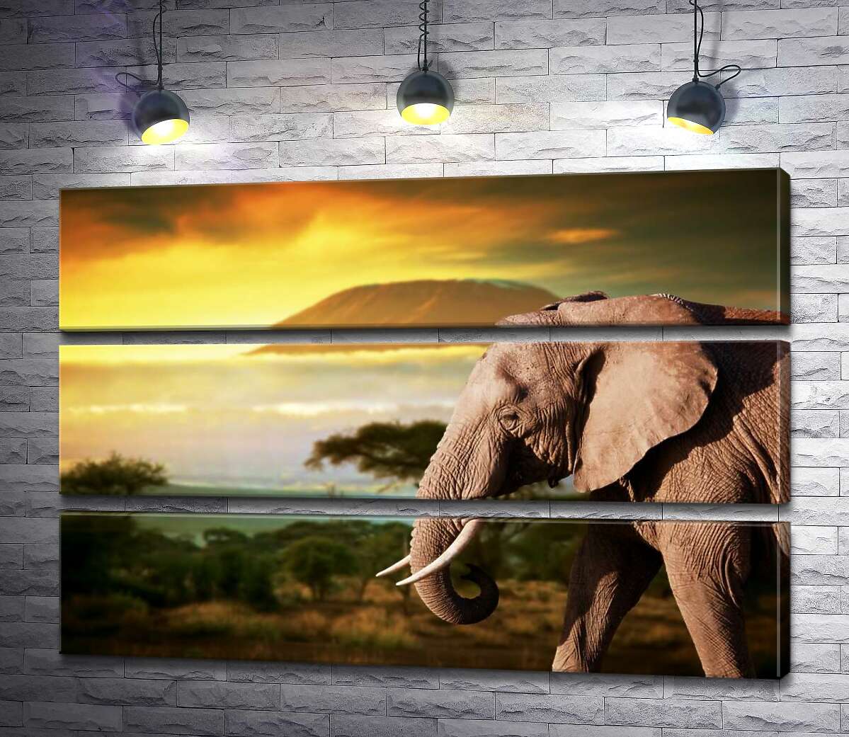 

Модульная картина ArtPoster Слон прогуливается по дороге саванны 130x87 см Модуль №13