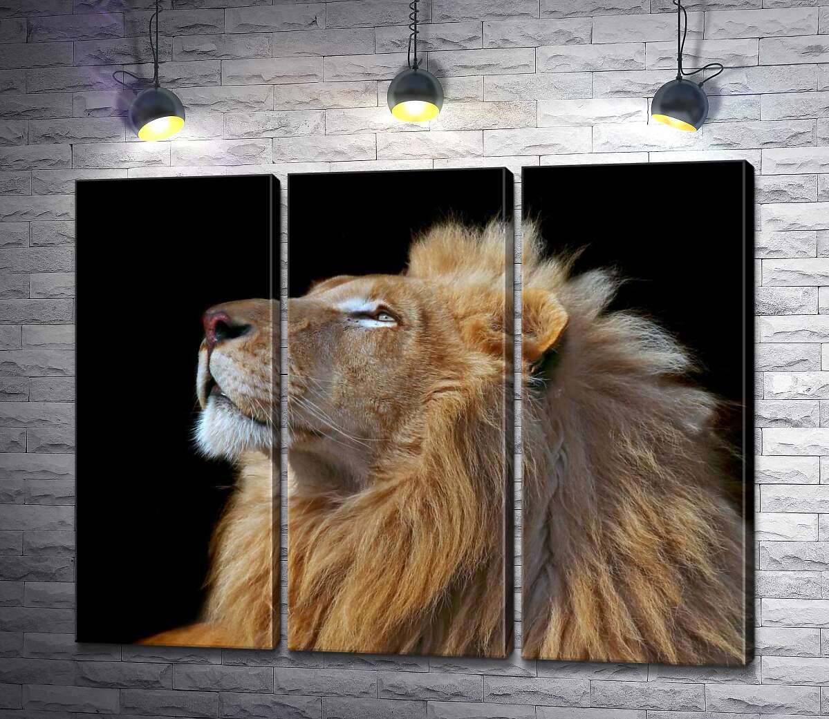

Модульная картина ArtPoster Царственный профиль льва 60x48 см Модуль №11