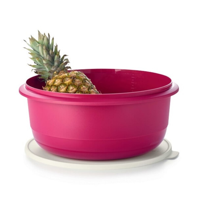 

Замесочное блюдо "Профи" 9.5 л Tupperware
