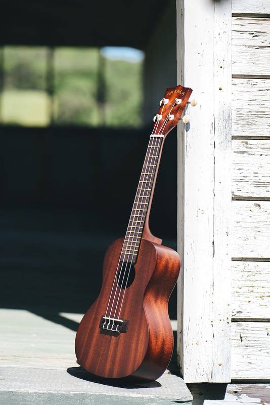 

Струны для укулеле MAKALA CONCERT UKULELE 225590
