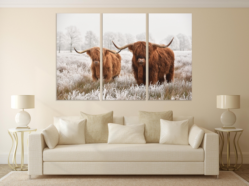 

Картина на холсте Модульные Модульная картина Hairy Scottish Highlanders 3 картины 30х60 см.