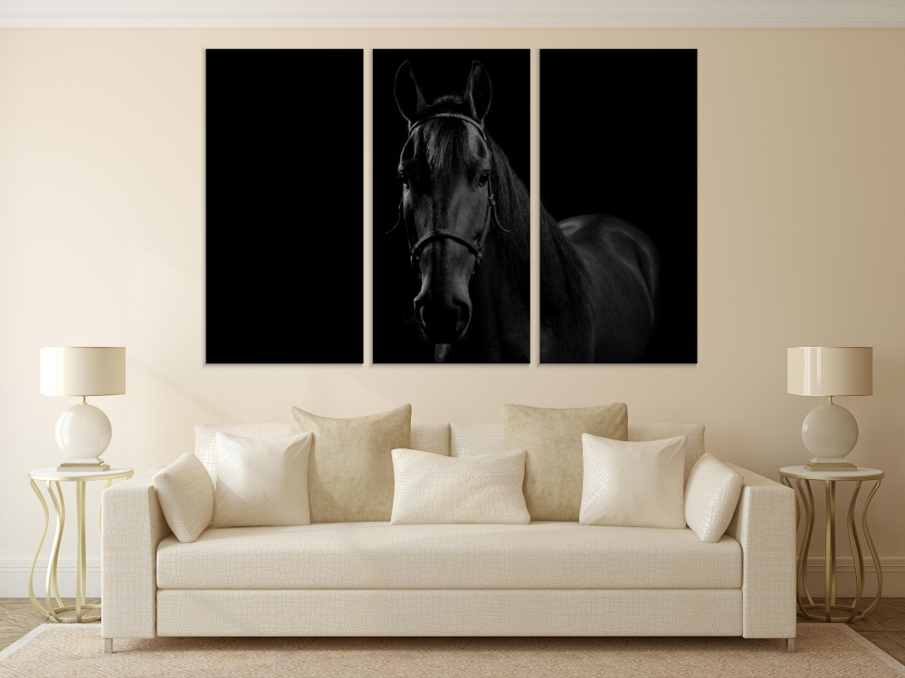

Картина на холсте Модульные Модульная картина Sport Horse 3 картины 25х50 см.