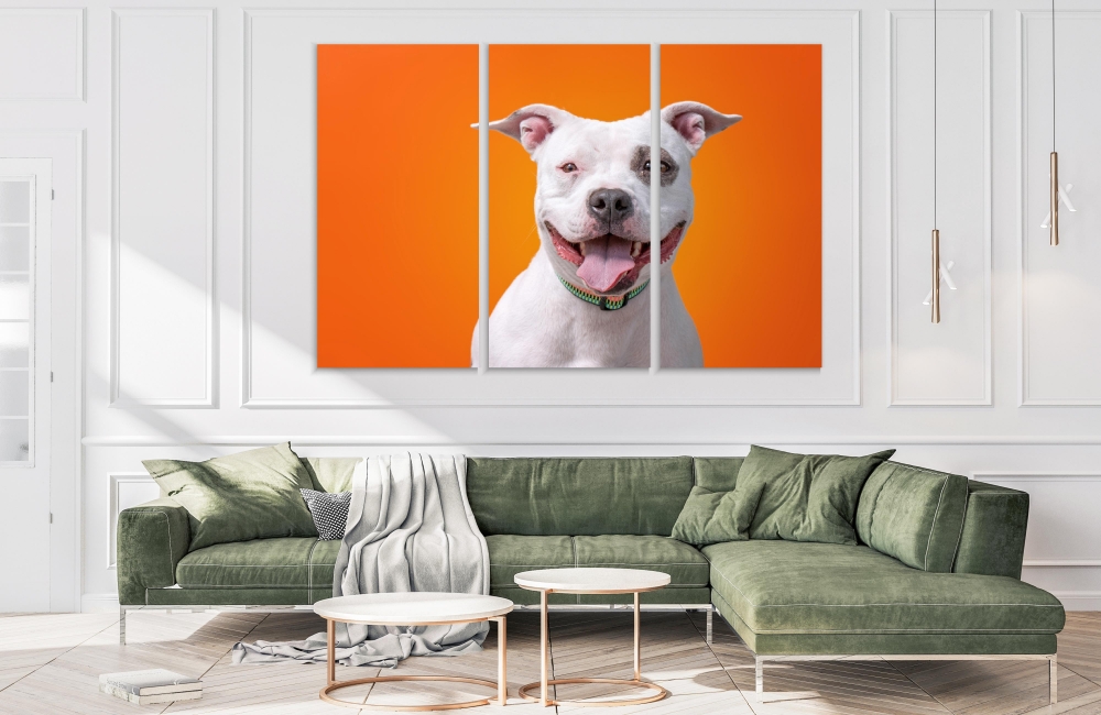 

Картина на холсте Модульные Модульная картина Улыбчивый пес 3 картины 60х120 см.