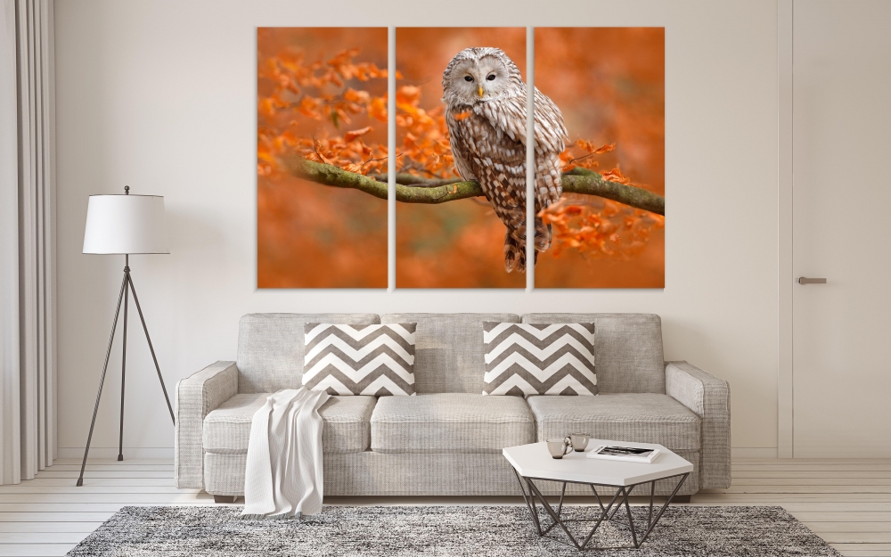 

Картина на холсте Модульные Модульная картина Owl Landing In Autumnal Forest 3 картины 25х50 см.