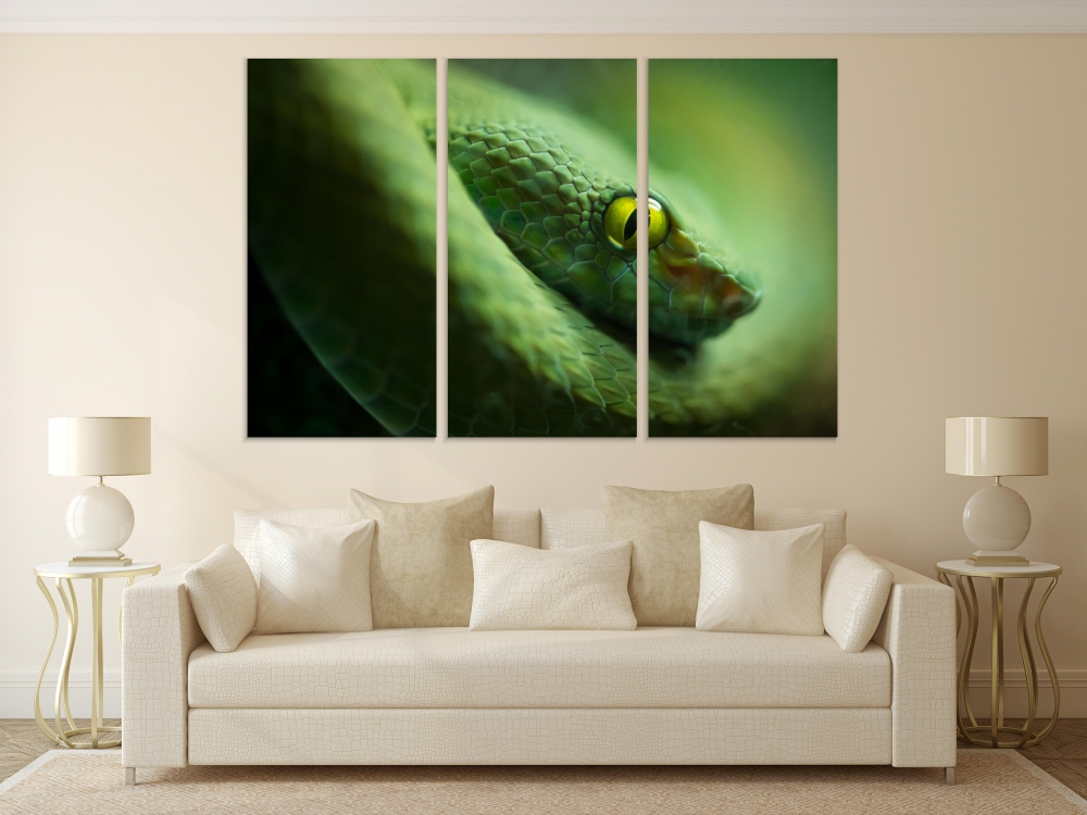 

Картина на холсте Модульные Модульная картина Green Mamba Snake 3 картины 45х90 см.