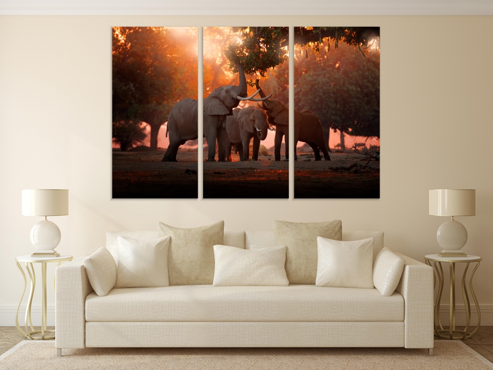 

Картина на холсте Модульные Модульная картина Слоны в парке 3 картины 45х90 см.