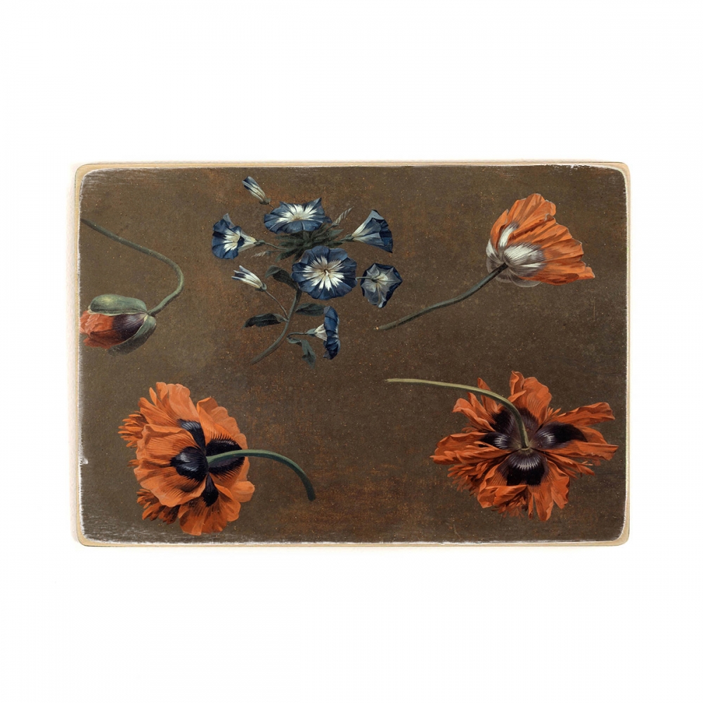

Деревянный постер Искусство Poppies and Tradascanthus А2