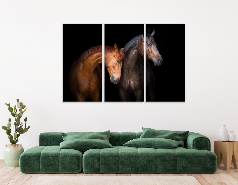 

Картина на холсте Модульные Модульная картина Horse Love 3 картины 70х140 см.