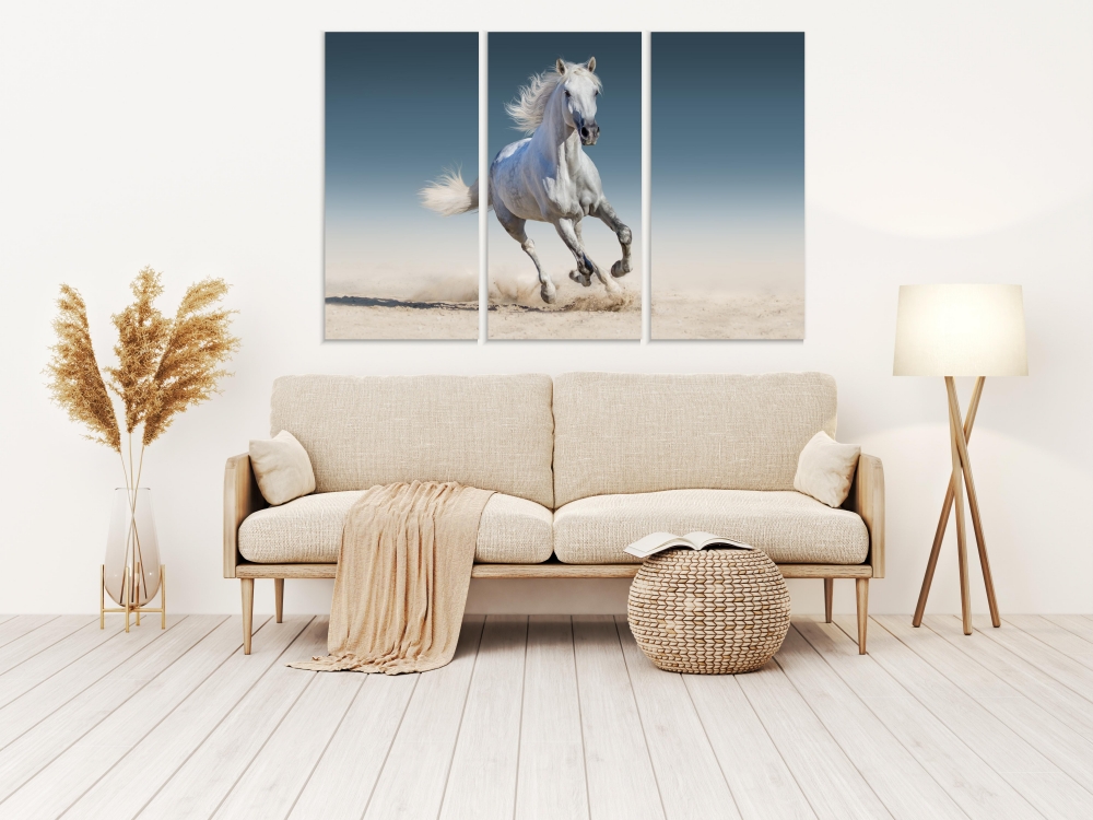 

Картина на холсте Модульные Модульная картина White Horse Run Gallop 3 картины 25х50 см.