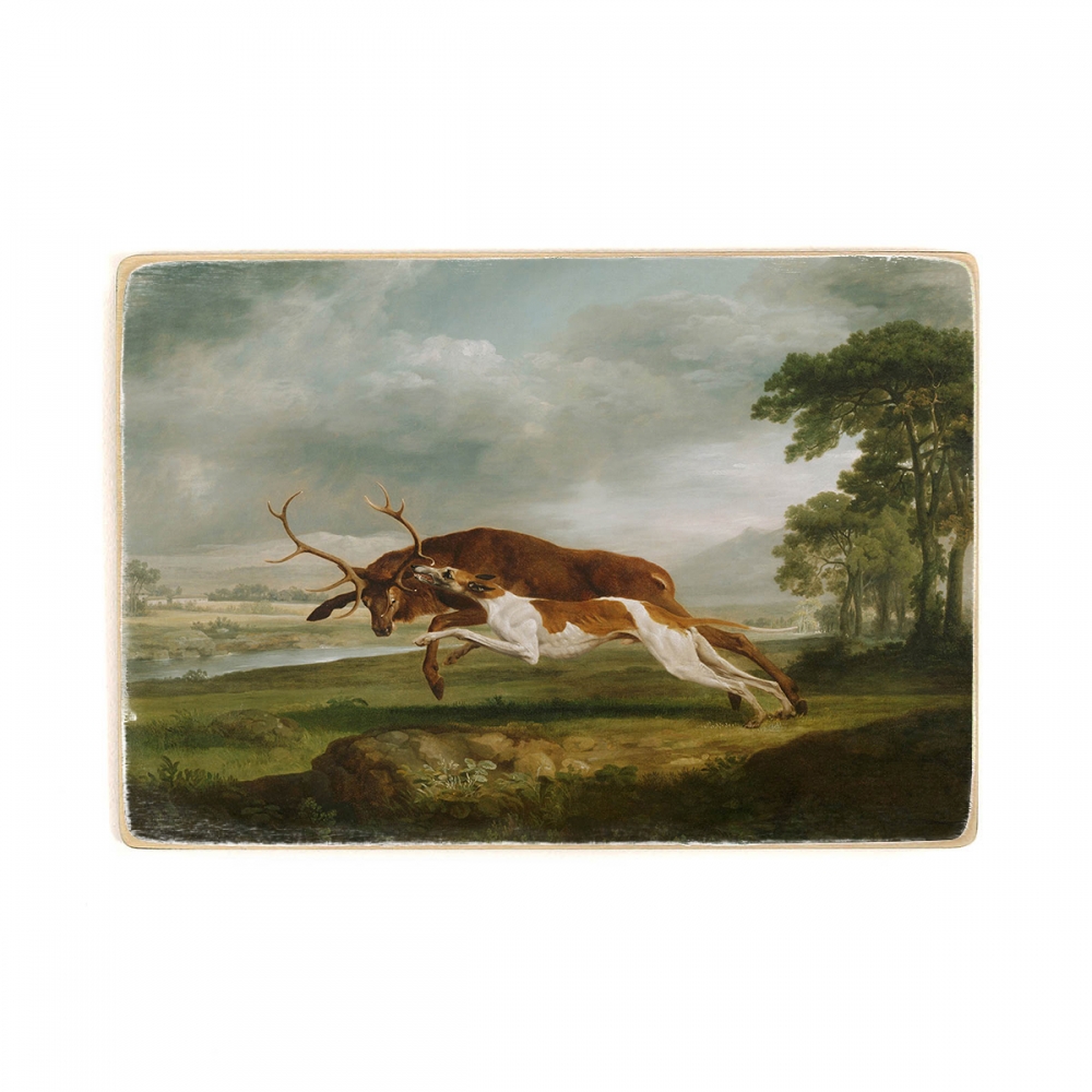 

Деревянный постер Искусство George Stubbs, English - Hound Coursing a Stag А1