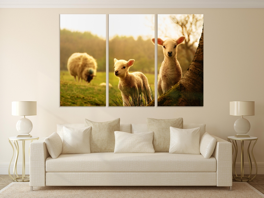 

Картина на холсте Модульные Модульная картина Cute Lambs 3 картины 40х80 см.