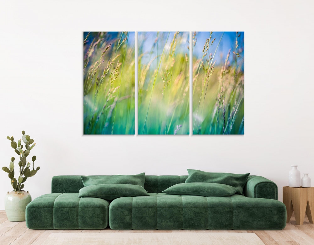 

Картина на холсте Модульные Модульная картина Meadow Flowers 3 картины 25х50 см.