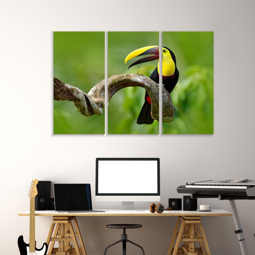 

Картина на холсте Модульные Модульная картина Toucan Sits On A Branch 3 картины 40х80 см.
