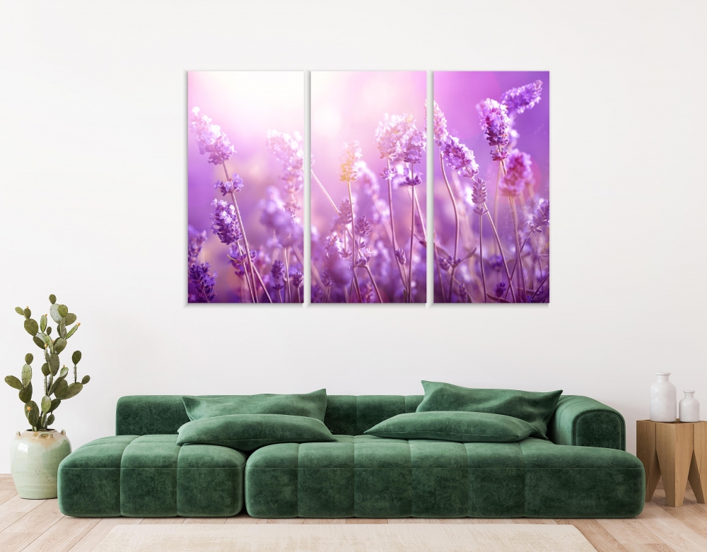 

Картина на холсте Модульные Модульная картина Lavender Field 3 картины 40х80 см.