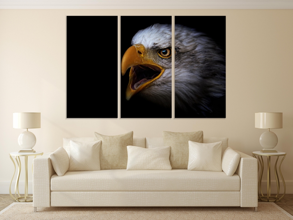 

Картина на холсте Модульные Модульная картина Bald Eagle Portrait 3 картины 40х80 см.