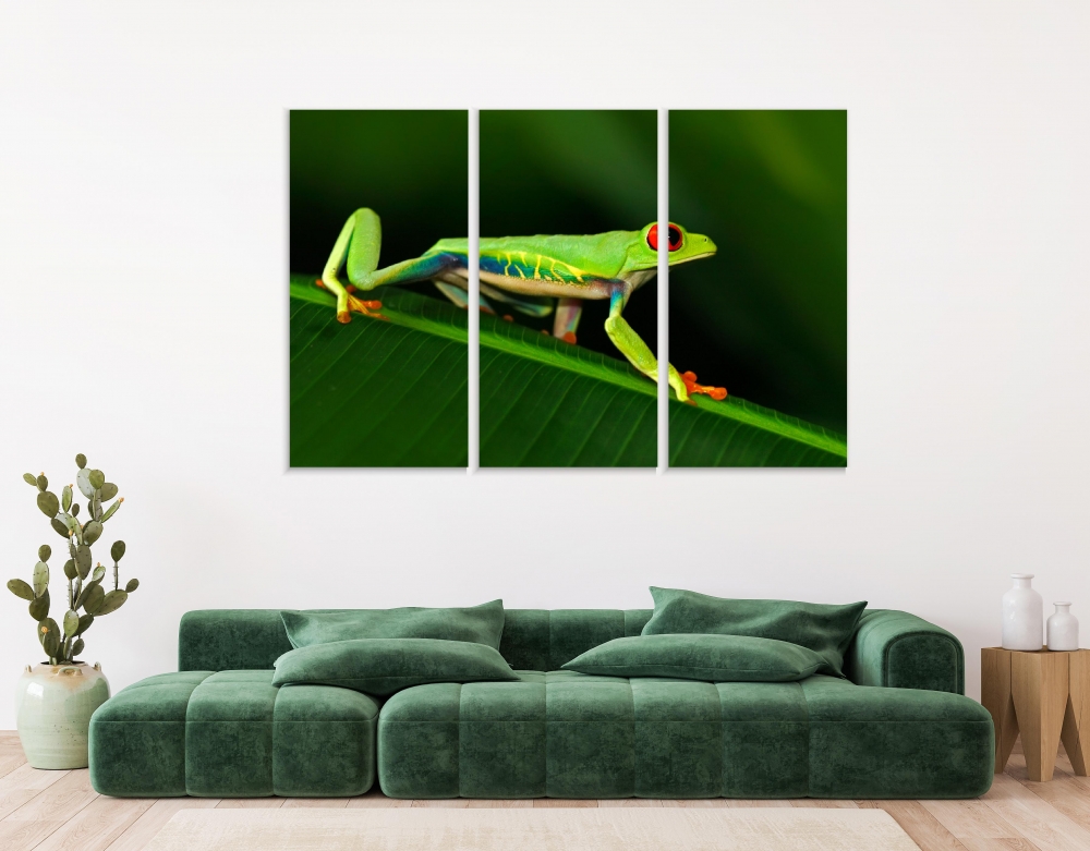 

Картина на холсте Модульные Модульная картина Red-Eyed Tree Frog 3 картины 60х120 см.