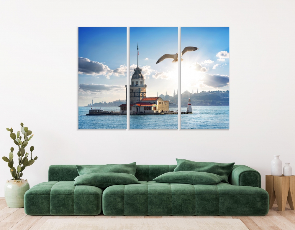 

Картина на холсте Модульные Модульная картина Seagull Flying 3 картины 25х50 см.