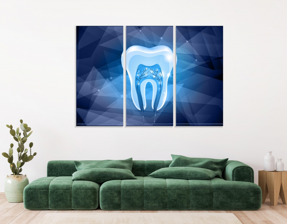 

Картина на холсте Модульные Модульная картина Tooth Cross Section 3 картины 40х80 см.