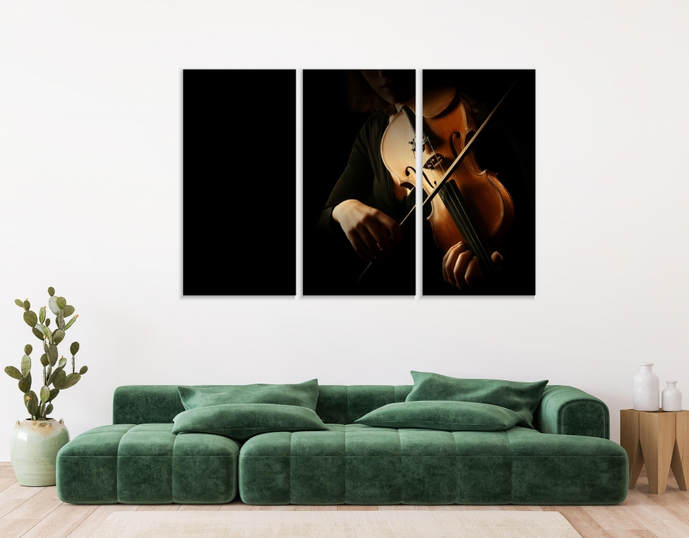 

Картина на холсте Модульные Модульная картина Violinist Playing 3 картины 30х60 см.
