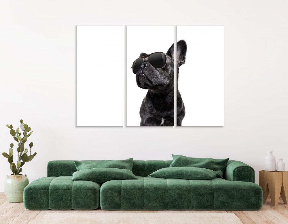 

Картина на холсте Модульные Модульная картина French Bulldog With Glasses 3 картины 30х60 см.