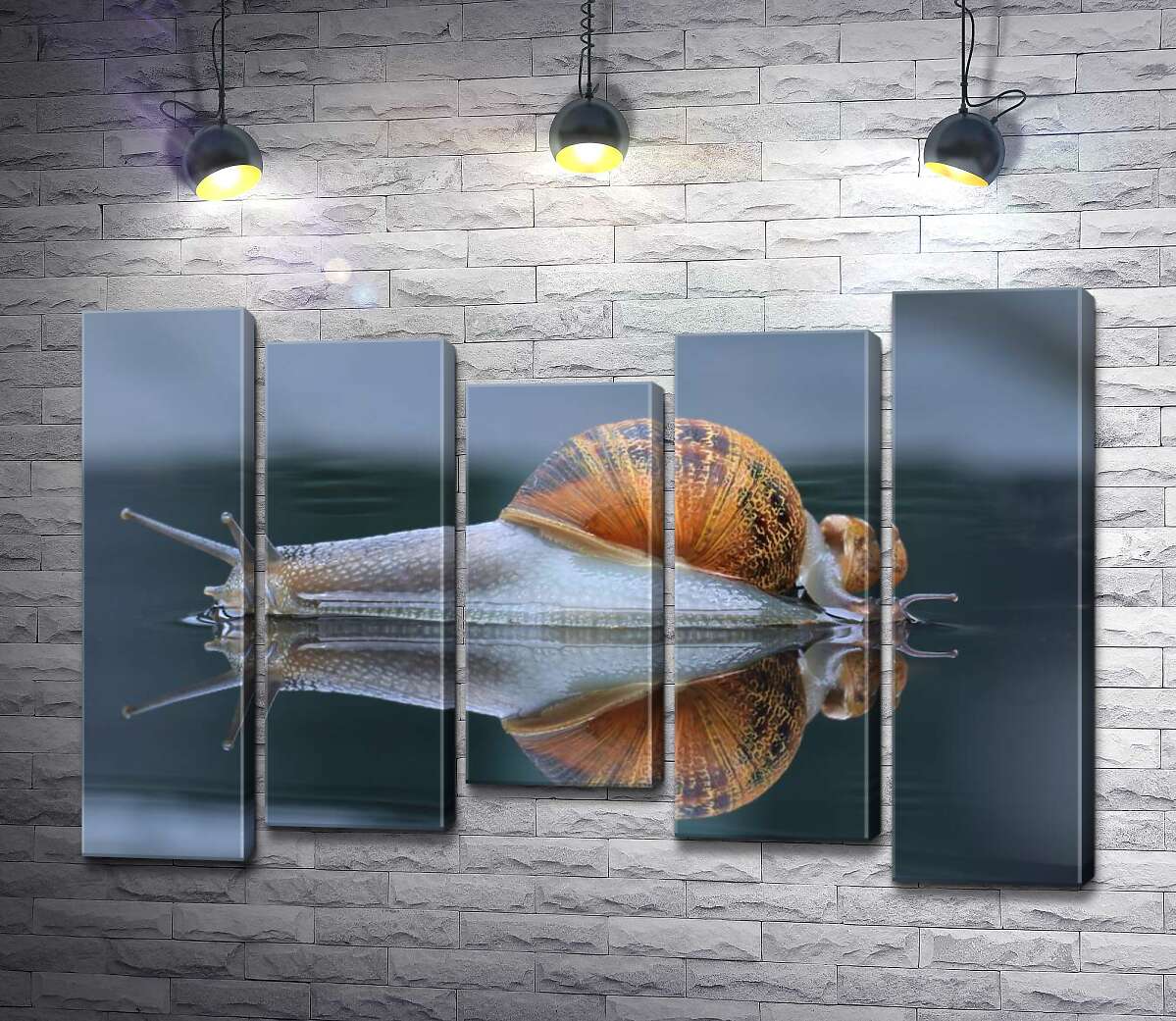

Модульная картина ArtPoster Водянисто-прозрачные улитки после дождя 130x88 см Модуль №28