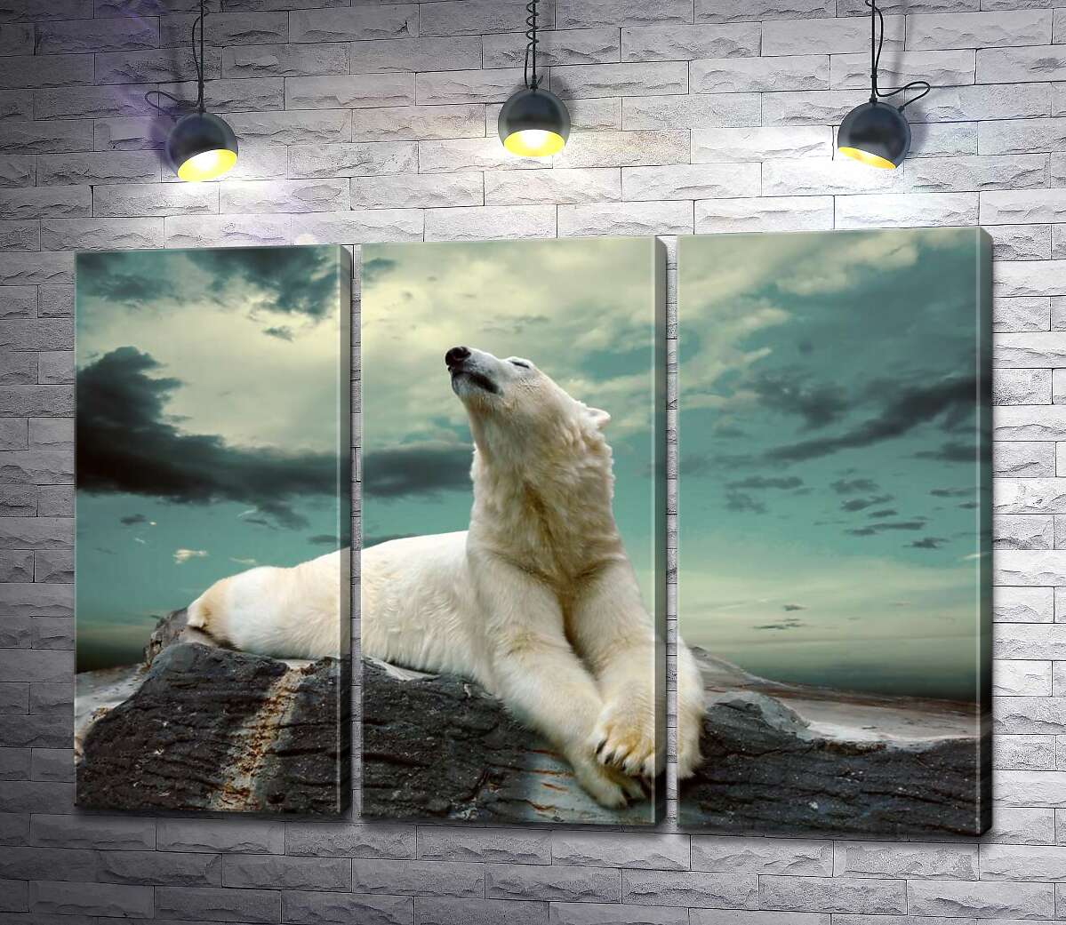 

Модульная картина ArtPoster Белый медведь отдыхает на камне 60x43 см Модуль №11